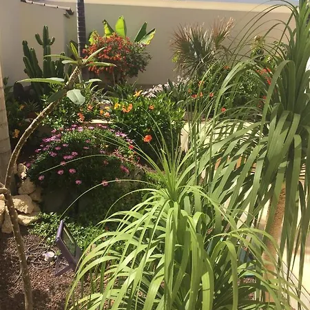 Apartamento Juliana Costa Adeje (Tenerife)