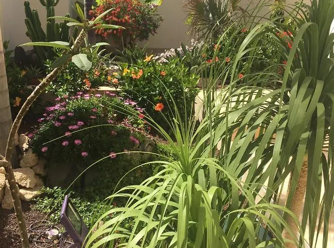 דירה Juliana אדחה